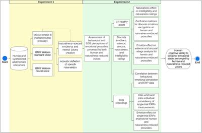 Neuronal and behavioral affective perceptions of human and naturalness-reduced emotional prosodies